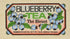 Metropolitan Tea Co Blueberry - Box of 25