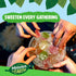 40 Count) Gummy Heaven & Earth Assorted Hand Crafted Fruit Jellies in Resealable Tray (Approx. | Dye Free | Natural
