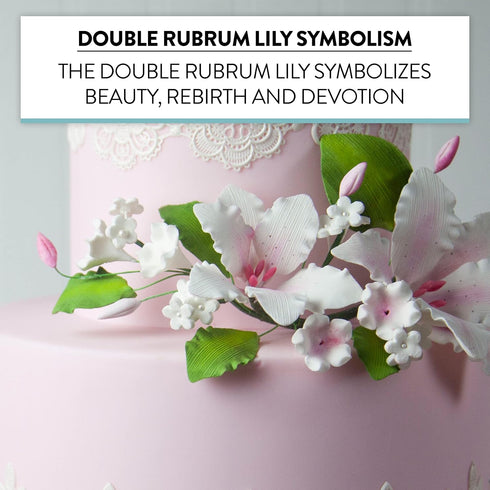 1 Count Global Sugar Art Double Rubrum Lily Sugar Cake Flowers Cake Topper Spray, White with Pink, by Chef Alan