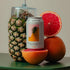 Pack 12 Oz (Pack 12) Something & Nothing Variety Flavoured Sparkling Water | Lightly Carbonated, Full Flavoured