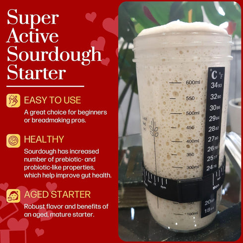100+ Mature Sourdough Starter Culture Years Old Dehydrated Sourdough Starter Kit for Delicious Homemade Sourdough Bread
