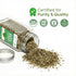THE HOLLY TREE 0.7 oz Organic Basil Leaves - Dried Basil Seasoning with Fresh Flavor - USDA Organic, Kosher, Gluten