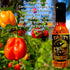 TASTY PEPPER SAUCE (30k 5 oz Caribbean Scotch Bonnet Hot Sauce, Salsa Picante Gourmet Pepper Sauce, Texas Made