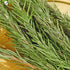 TEEYKUKI 1.24oz(35.0g), 10~15 Natural Dried Whole Rosemary Sprigs, Sprigs, Premium Grade Dried Rosemary Sprigs