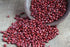 Hunza Natural Foods (2 lbs) Hunza Organic Adzuki Beans