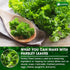 4 oz 100% Lavendium, Premium Dried Parsley Leaves Pure, Non-GMO, Gluten-Free, Vegan Aromatic Culinary Herb for Cooking