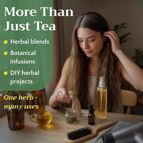 Horsetail Equisetum 8 oz Tea - Cut & Sifted Horse Tail Grass Herb - Cola de Caballo Hierba - Dried Artvense Plant
