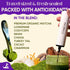 150g (25 70mg Mushroom Matcha servings, Caffeine, Zero Sugar) with Lions Mane, Cordyceps, Reishi, Chaga | Adaptogenic