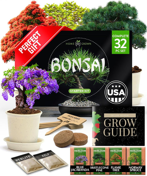 Bonsai Tree Kit Gifts for Men & Women - Grow 4 Bonsai