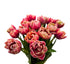 20 KaBloom - Fresh Peony Pink Tulips - Fresh Flowers for Birthday, Valentine's & Mother's Day