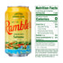 12-Ounce 8-Packs (24 AUTX RAMBLER Sparkling Water, Texas Limestone Mineral Blend, Satsuma Flavor, Cans, Three Cans)