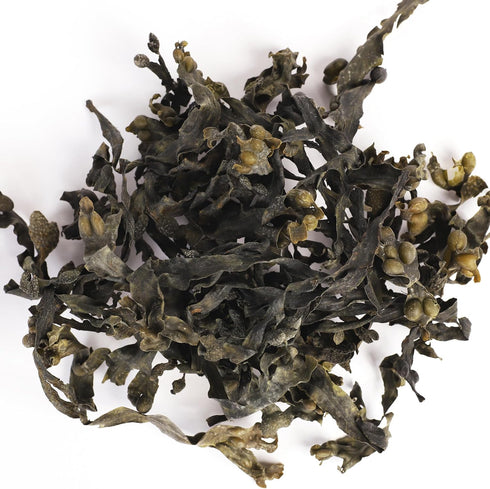 VITAMINSEA Bladderwrack Dried Seaweed | Wild North Atlantic Seaweed for Snacking, Seasoning, Soups, Salads