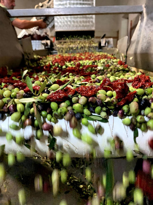 2022 Liokareas Santorini Sun-Dried Tomato Olive Oil - Greek Extra Virgin Olive Oil - Cold Pressed With Santorini