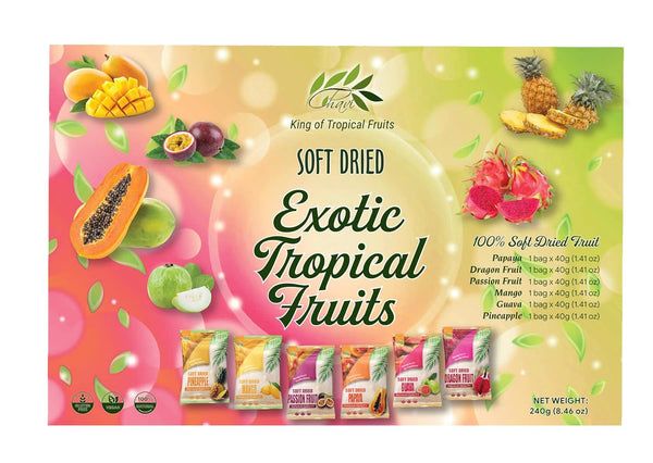 CHAVI Soft Dried Exotic Tropical Fruits | Pack of 12 | Gift