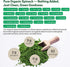 100% Immune 1 lb Z Natural Foods Organic Spinach Powder - Pure & Nutrient-Dense Dried Raw Spinach Leaves for & Energy