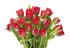 Blooms2Door 20 - Red Tulips without vase(Farm-Fresh Flowers, Cut-to-Order) - Fresh Flowers for Birthday, Valentine's