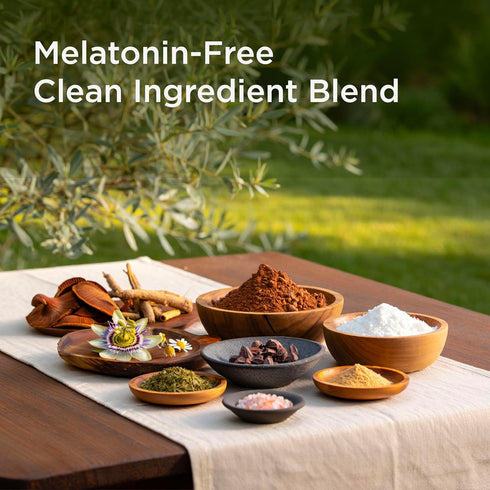 Slumber 30 s Magnesium Cocoa, Melatonin-Free Evening Cocoa Drink Mix with L-Theanine, Reishi & Ashwagandha