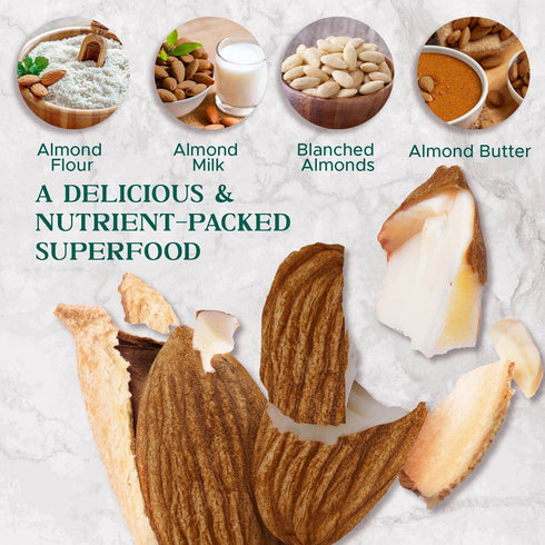 32 oz (2 lbs) Dry Roasted Almonds Unsalted Batch Tested Gluten & Peanut Free | No Oil | Whole | No PPO | Non-GMO | No