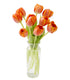 Blooms2Door 10 - Bouquet of Orange Tulips (Farm-Fresh) with Vase - Fresh Flowers for Birthday, Valentine's & Mother's
