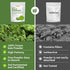 Hudetex Immune 8oz Kale Powder Organic - Green Juice Powder for Kale DrinkSupports System & Digestive Function,Keep