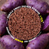 SUNGIVEN 3 2.47 OZ (Pack 10) Organic Ramen Noodles Purple Sweet Potato Healthy Low Sodium Ready in Minutes Non-Fried