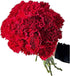 38 Red Carnation Flowers Hydroponic Flower Arrangement Mothers Day Gift Home Decor Birthday Anniversary Healing