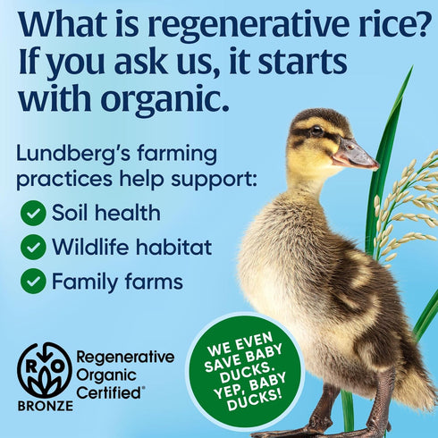 17.3 OZ Lundberg Value Size Regenerative Jasmine Rice