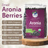 17.6 oz (500 Aronia Original Organic Dried Aronia Berries g) - Unsweetened Black Chokeberries, Gently Dried After