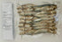 Sun dried seafoods 200g Dried Herring/Tuyo, Dried Fish, Wild Caught, Chemical Free