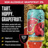 12 Pack (12 oz, 12 Pack) Go Brewing - IPA Mixed - Non Alcoholic Beer - Small Batch Brew - Low Calorie Drink - Featuring
