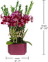 4" Green Circle Growers Mini Dark Purple Orchid in Purple Ceramic Planter Love You Edition Live Orchid Gift Plant