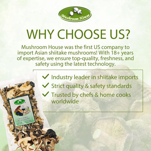 4 Oz Mushroom House Dried Wild Forest Blend Mushrooms