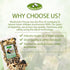 4 Oz Mushroom House Dried Wild Forest Blend Mushrooms