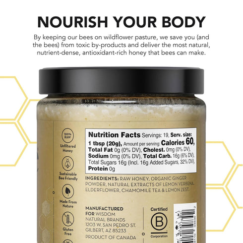 13.2 oz (375 Drizzle Ginger Shine Raw Honey - All Natural Pure Raw Honey with Organic Ginger, Unfiltered & Unheated
