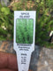 4 inch (5 Count) Rosemary Plants Spice Island in Cups