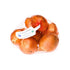 Fresh Produce 48 Organic Yellow Onion, Ounce Bag