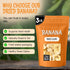 3 lb Packed Oh! Nuts Dried Banana Chips - - Dried Fruit Slices - Light Sugar Added - Dehydrated Fruit Bites - in New