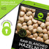 Filberts (16oz 1 LB) Packed NUT CRAVINGS - Raw Blanched Hazelnuts - Unsalted, Shelled, - Fresh in Resealable Bag