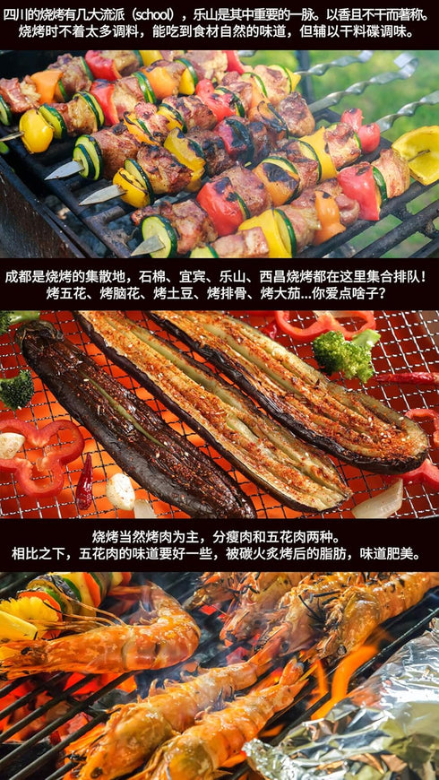 Chinese BBQ Powder, Barbecue Grill Seasoning 15.87oz/450g Original Imported from Sichuan, China