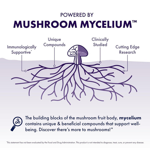 100% 10.5 oz (20 Host Defense MycoBrew Mocha - Mocha Drink Mix - Includes Lion's Mane Mushroom - Drink Mix with Fair