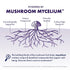 100% 10 Packets (10 Host Defense MycoBrew Mocha - Mocha Drink Mix - Includes Lion's Mane Mushroom - Drink Mix with Fair