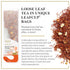 15 Packed Ronnefeldt LeafCup Rooibos Cream Orange Chai Naturally Caffeine-Free Red Herbal Tea with Sweet Orange Peel
