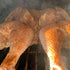 12.5oz Grill Your As* Off Claymore Cajun Seasoning Spicy Blend for Meats & Seafood MSG & Gluten Free USA Made & Veteran