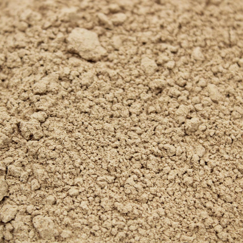 8oz Shiitake Mushroom Extract Powder Gourmet Ingredient for Broths, Marinades, Ramen, Sauces & Asian-Inspired Dishes