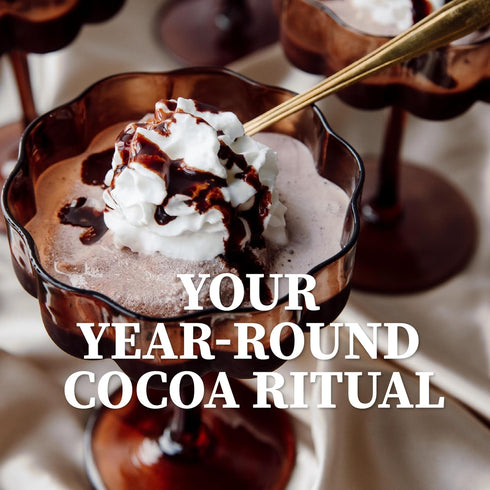 4 (2 Cup of Coa No. Sensuously Dark | Gourmet Dark Hot Cocoa Mix | Just Add Water | Rich, Velvety & Silky Smooth |