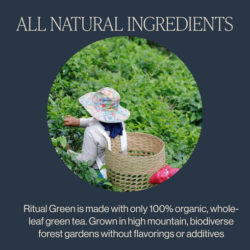 15 Count (Pack 1) Rishi Tea Ritual Green Tea - Organic Sachet Bags, Pure Green Tea, Energizing & Caffeinated