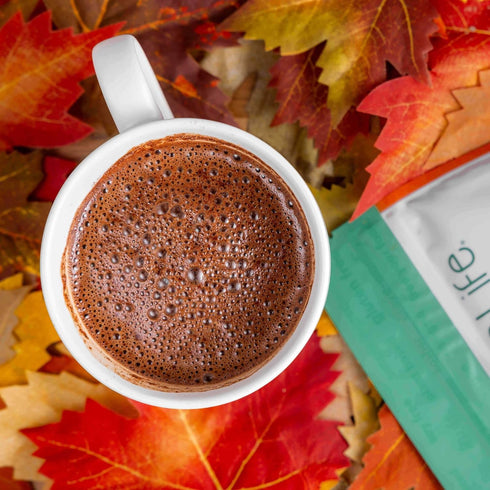 9.52 oz. Bare Life: Dairy Free Pumpkin Spice Hot Cocoa Mix Pouch | Gluten Free, Vegan, USDA Organic, Plant Based