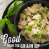 20 (5.5 oz, 6-Pack) Lundberg Family Farms - Traditional Italian Risotto, Alfredo, Convenient Side Dish, Minute Cook