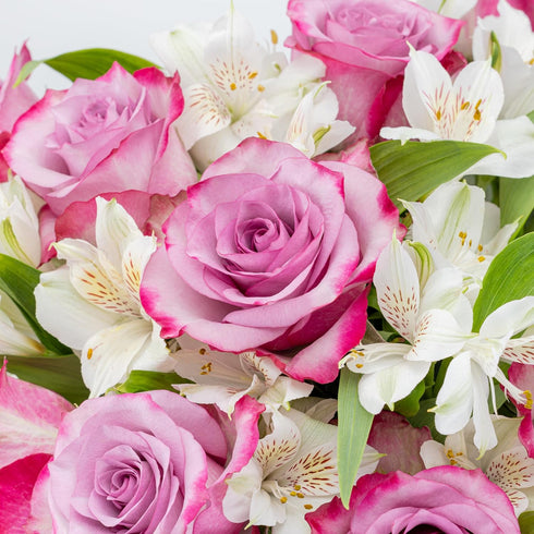 Benchmark Bouquets - Delightful Roses & Alstroemeria (Glass Vase Included) - Fresh Flowers for Delivery - Gift