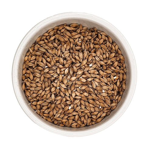 10 lb Golden Promise Brewing Malt for Home Brewing